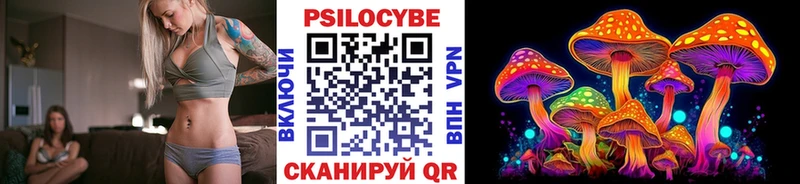 гидра вход  Фрязино  Галлюциногенные грибы Psilocybe 